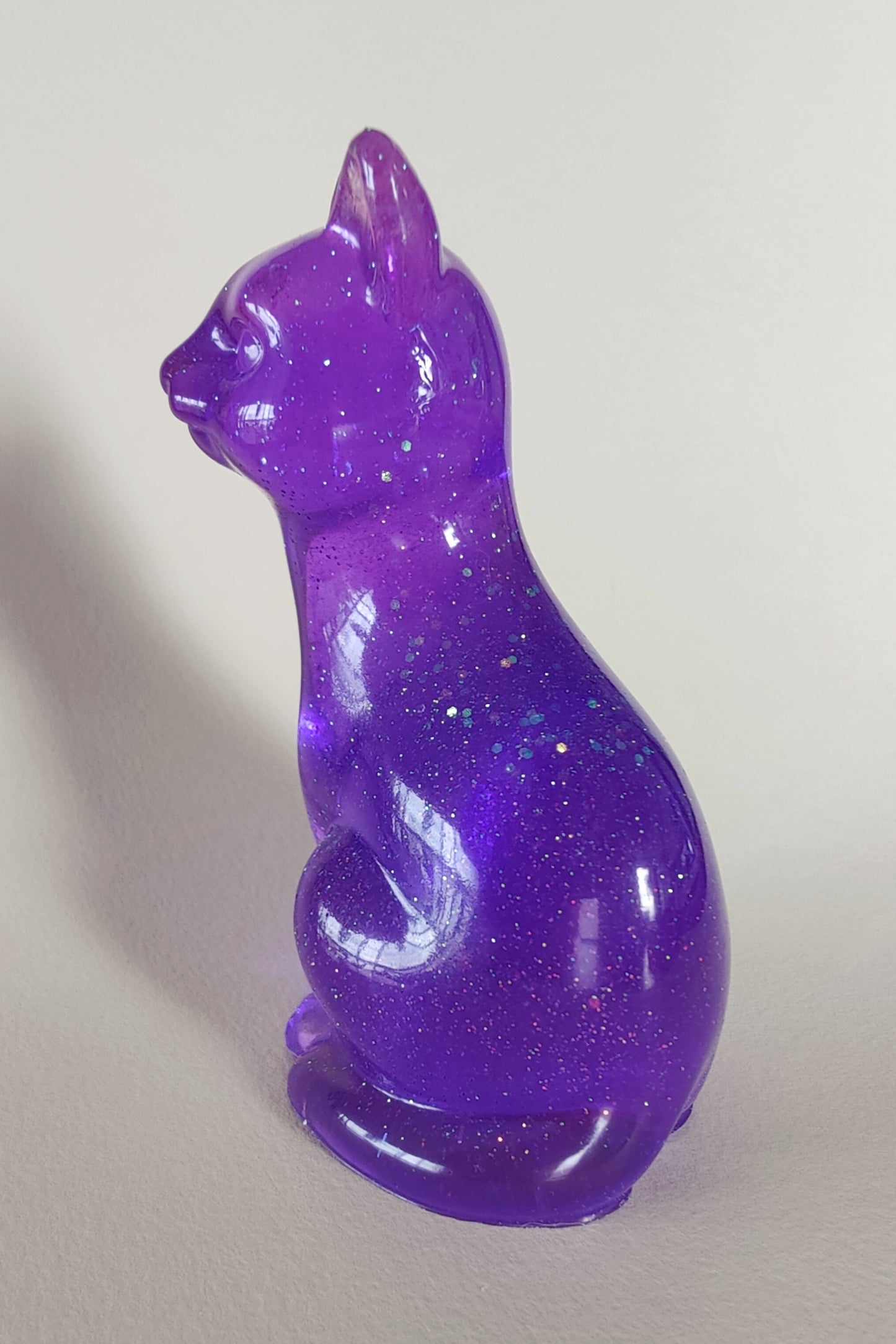 Kissapatsas violetti